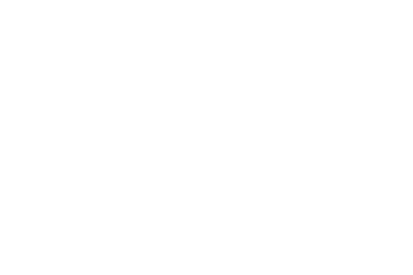 Fortech Loqosu
